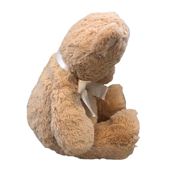 My First Teddy Plush 18 inch Teddy Bear - Picture 3 of 4